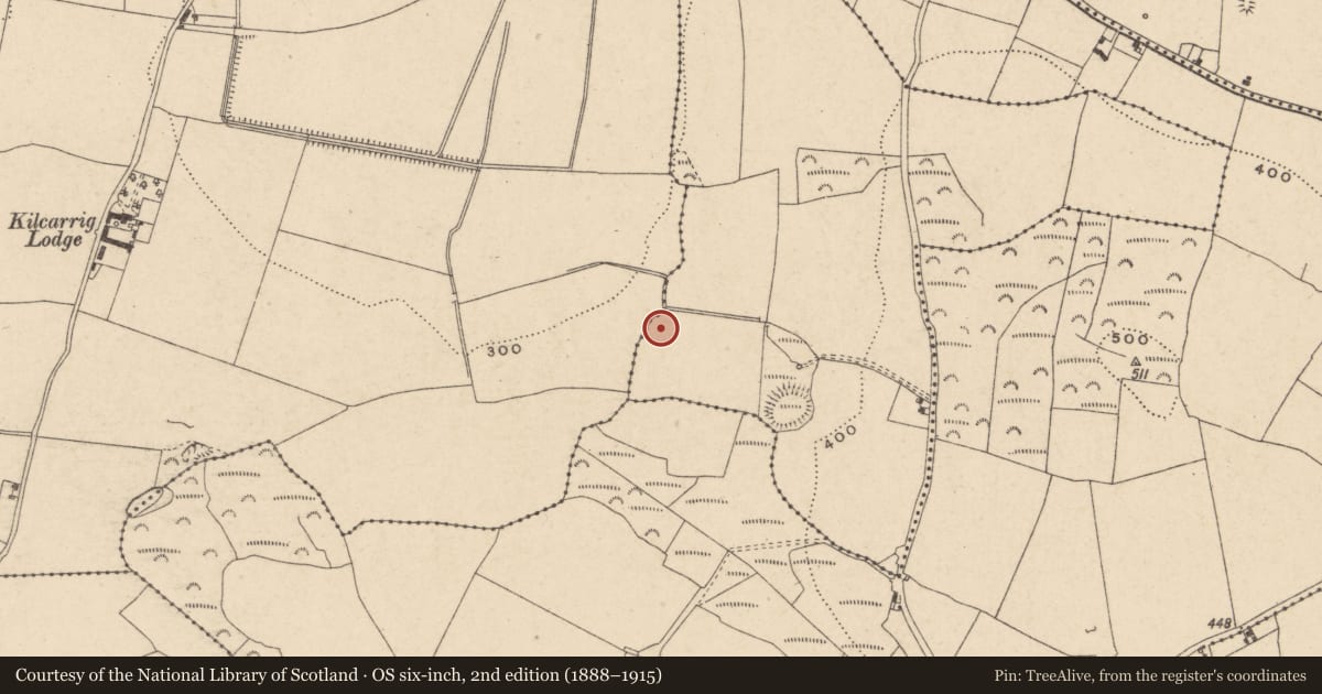 Ordnance Survey six-inch map, 2nd edition (1888–1915) covering the location of Enclosure, Ballymoon, County Carlow, with a pin at the register's coordinates