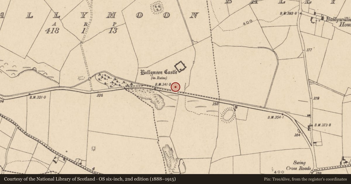 Ordnance Survey six-inch map, 2nd edition (1888–1915) covering the location of Rock art, Ballymoon, County Carlow, with a pin at the register's coordinates