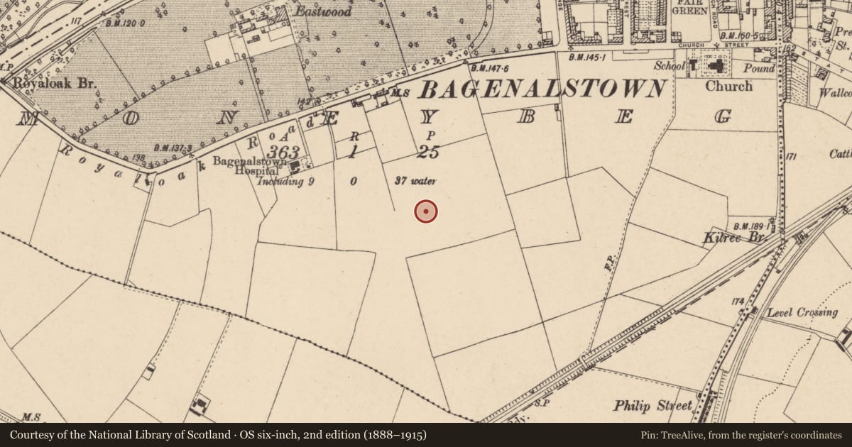 Ordnance Survey six-inch map, 2nd edition (1888–1915) covering the location of Field system, Moneybeg, County Carlow, with a pin at the register's coordinates