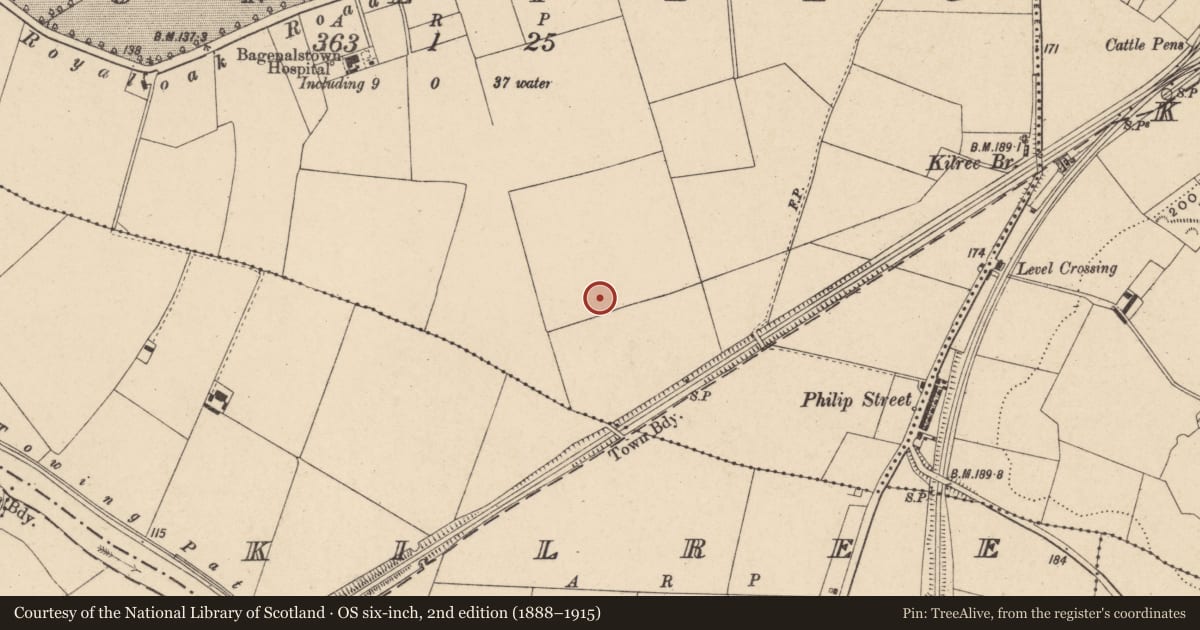 Ordnance Survey six-inch map, 2nd edition (1888–1915) covering the location of Field system, Moneybeg, County Carlow, with a pin at the register's coordinates