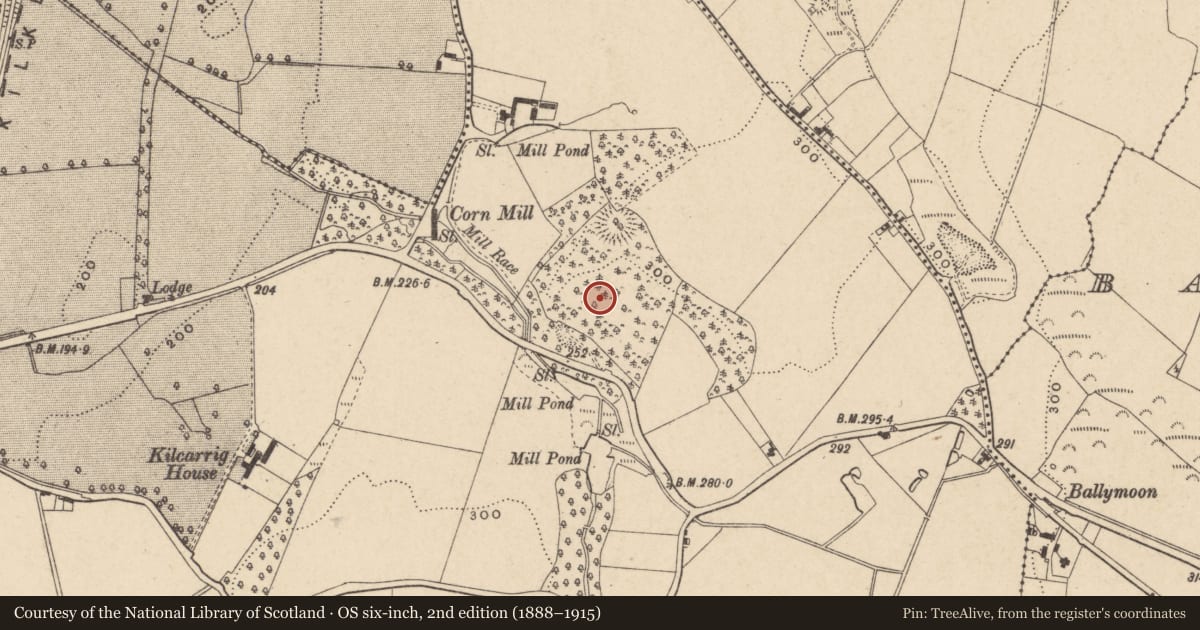Ordnance Survey six-inch map, 2nd edition (1888–1915) covering the location of Excavation - miscellaneous, Kilcarrig, County Carlow, with a pin at the register's coordinates