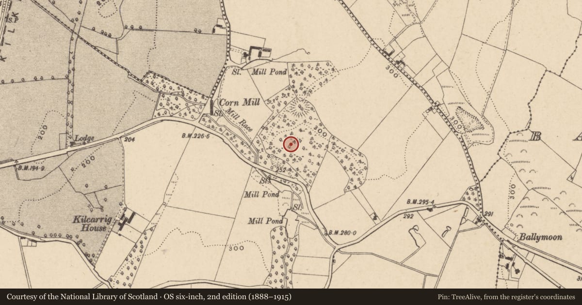 Ordnance Survey six-inch map, 2nd edition (1888–1915) covering the location of Fulacht fia, Kilcarrig, County Carlow, with a pin at the register's coordinates