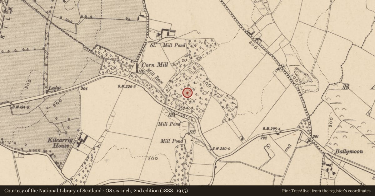 Ordnance Survey six-inch map, 2nd edition (1888–1915) covering the location of Kiln, Kilcarrig, County Carlow, with a pin at the register's coordinates