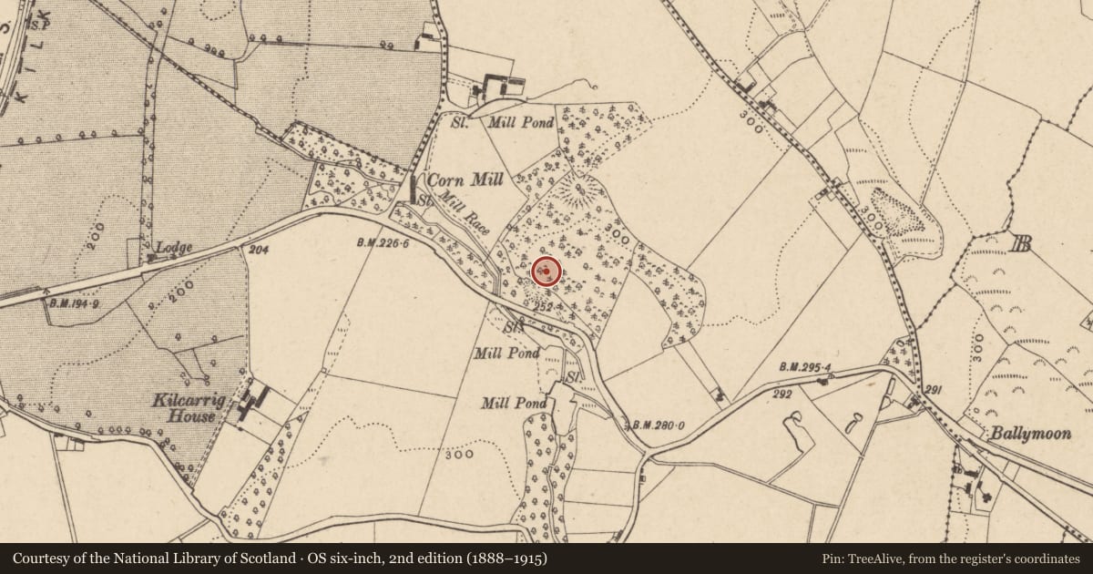 Ordnance Survey six-inch map, 2nd edition (1888–1915) covering the location of Excavation - miscellaneous, Kilcarrig, County Carlow, with a pin at the register's coordinates
