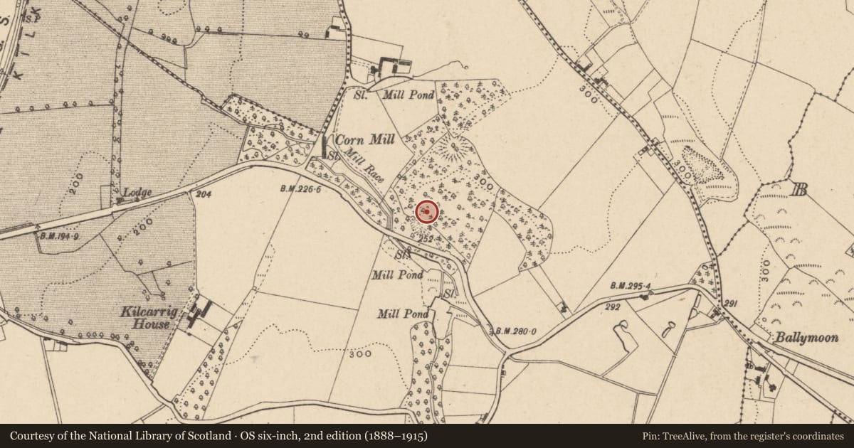 Ordnance Survey six-inch map, 2nd edition (1888–1915) covering the location of Structure, Kilcarrig, County Carlow, with a pin at the register's coordinates