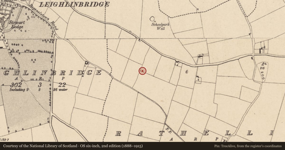 Ordnance Survey six-inch map, 2nd edition (1888–1915) covering the location of Enclosure, Rathellin, County Carlow, with a pin at the register's coordinates
