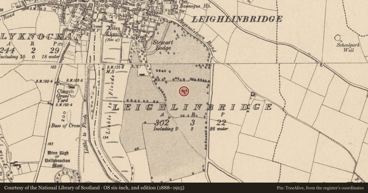 Ordnance Survey six-inch map, 2nd edition (1888–1915) covering the location of Enclosure, Leighlinbridge, County Carlow, with a pin at the register's coordinates