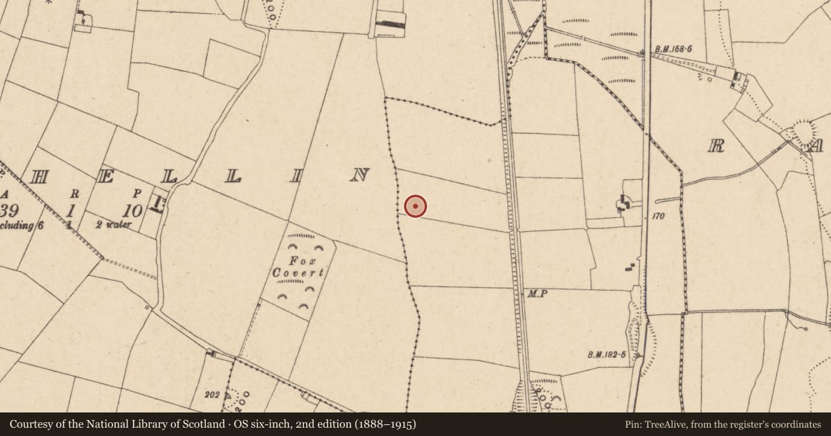 Ordnance Survey six-inch map, 2nd edition (1888–1915) covering the location of Enclosure, Rathellin, County Carlow, with a pin at the register's coordinates