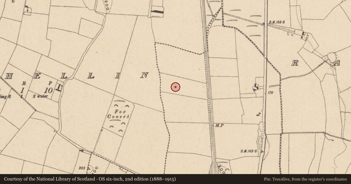 Ordnance Survey six-inch map, 2nd edition (1888–1915) covering the location of Enclosure, Rathellin, County Carlow, with a pin at the register's coordinates