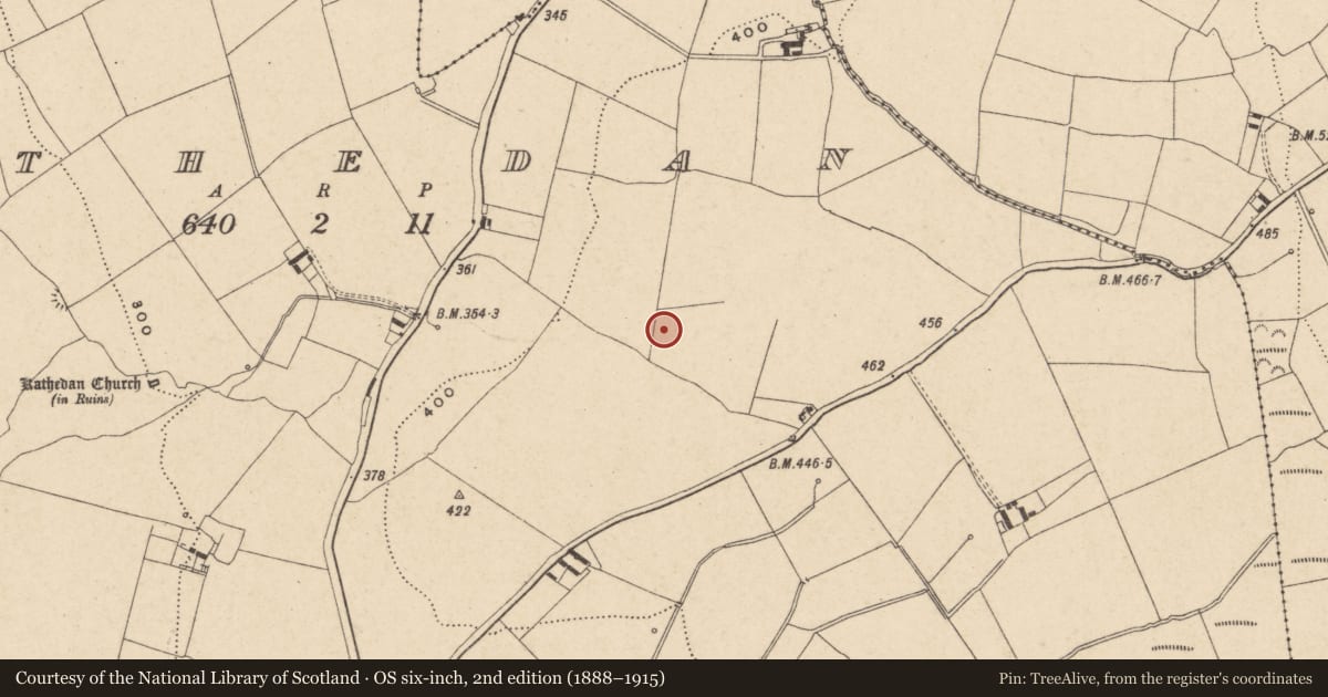 Ordnance Survey six-inch map, 2nd edition (1888–1915) covering the location of Rock art, Rathedan, County Carlow, with a pin at the register's coordinates