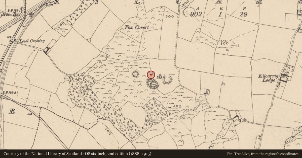 Ordnance Survey six-inch map, 2nd edition (1888–1915) covering the location of Rock art (present location), Kilcarrig, County Carlow, with a pin at the register's coordinates