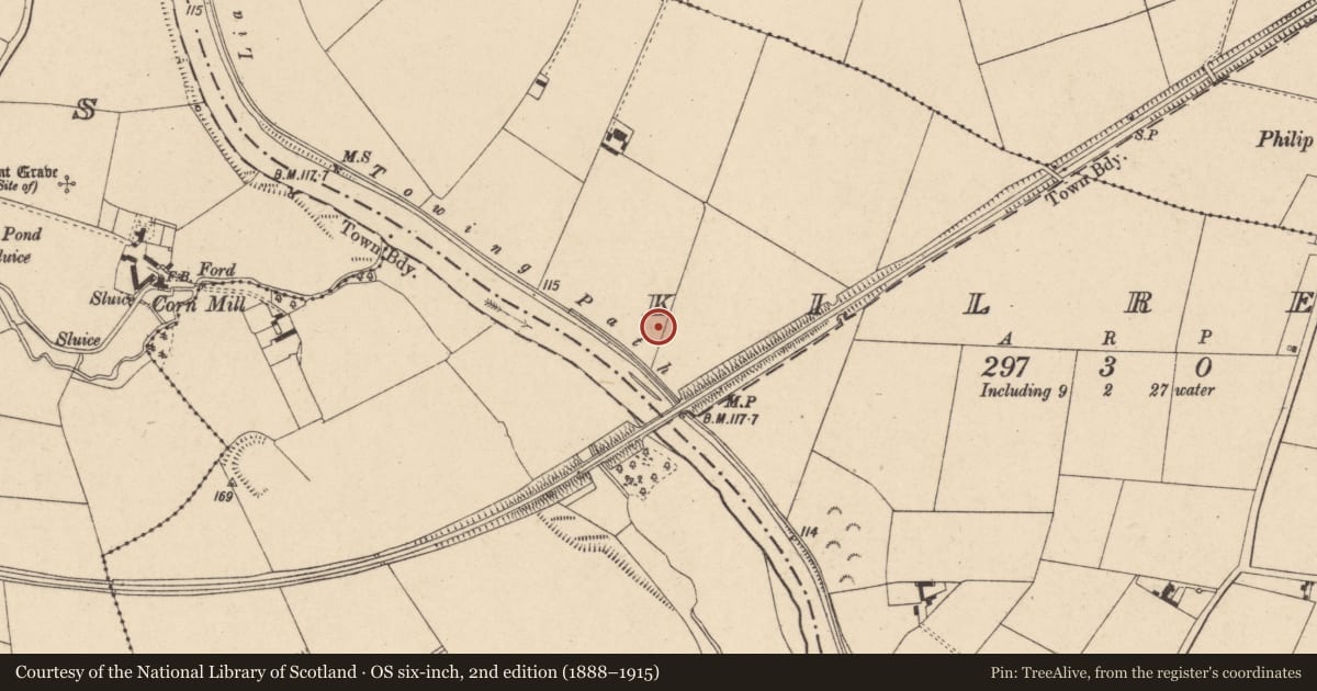 Ordnance Survey six-inch map, 2nd edition (1888–1915) covering the location of Excavation - miscellaneous, Kilree, County Carlow, with a pin at the register's coordinates