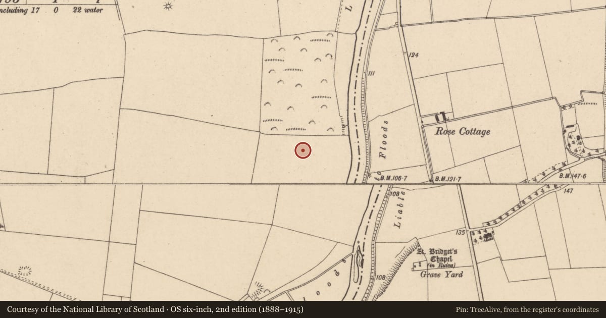 Ordnance Survey six-inch map, 2nd edition (1888–1915) covering the location of Road - road/trackway, Fenniscourt, County Carlow, with a pin at the register's coordinates