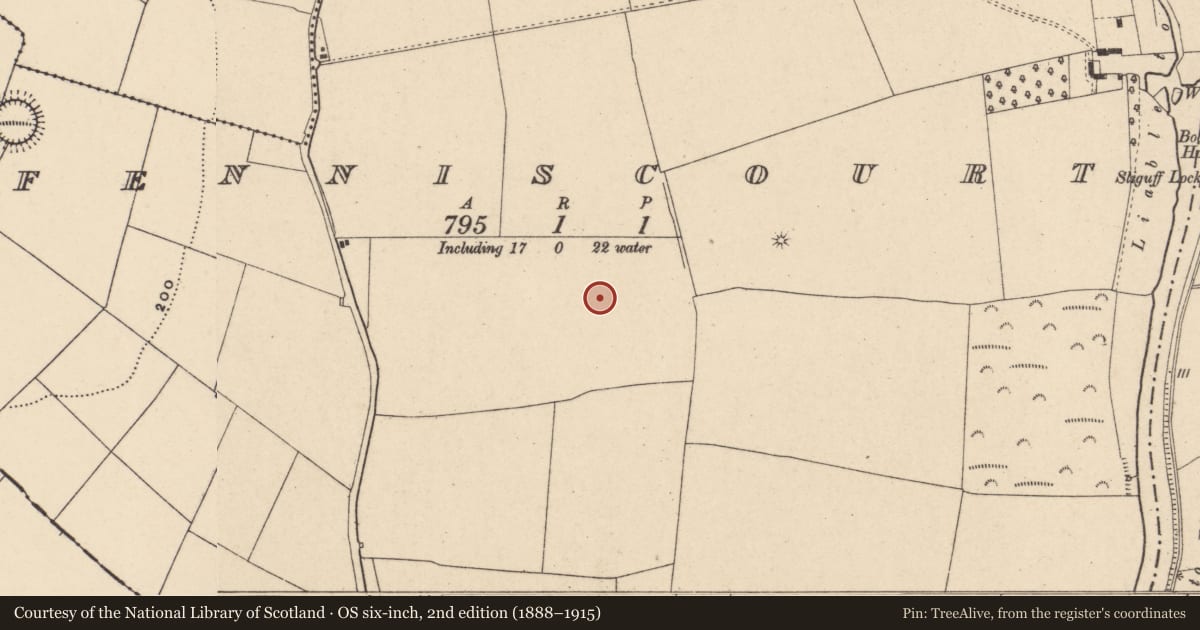 Ordnance Survey six-inch map, 2nd edition (1888–1915) covering the location of Enclosure, Fenniscourt, County Carlow, with a pin at the register's coordinates