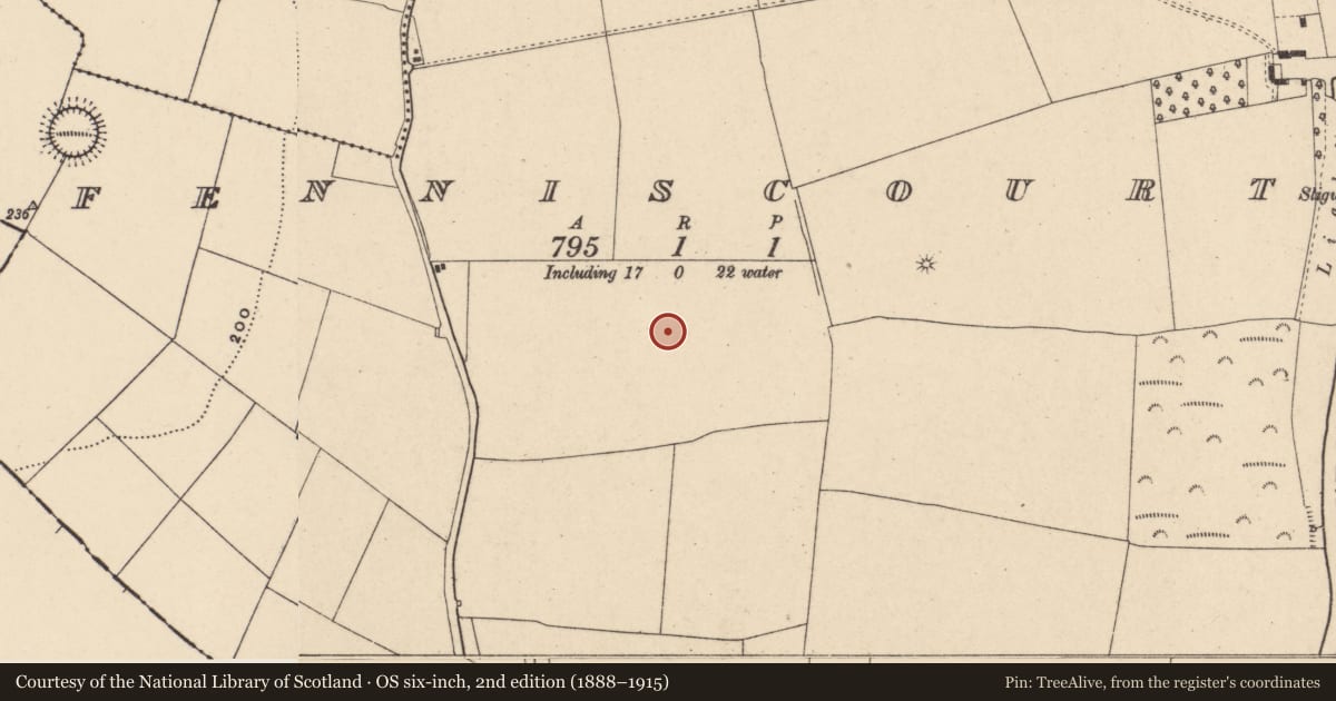 Ordnance Survey six-inch map, 2nd edition (1888–1915) covering the location of Field system, Fenniscourt, County Carlow, with a pin at the register's coordinates