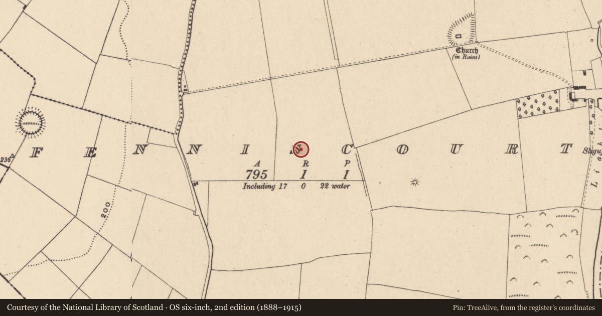 Ordnance Survey six-inch map, 2nd edition (1888–1915) covering the location of Ring-ditch, Fenniscourt, County Carlow, with a pin at the register's coordinates