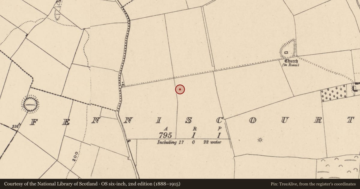 Ordnance Survey six-inch map, 2nd edition (1888–1915) covering the location of Ring-ditch, Fenniscourt, County Carlow, with a pin at the register's coordinates