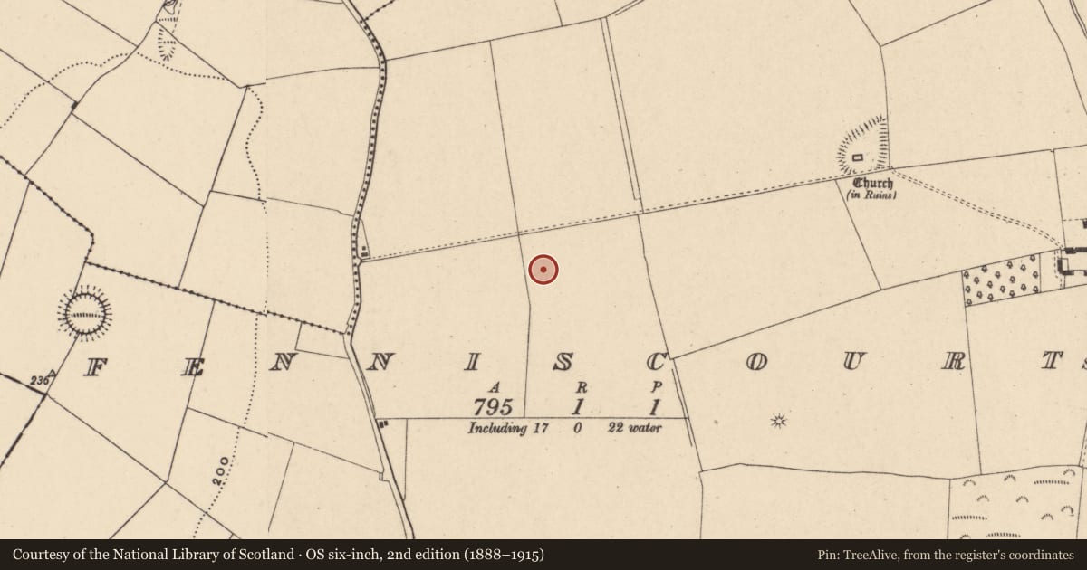Ordnance Survey six-inch map, 2nd edition (1888–1915) covering the location of Ring-ditch, Fenniscourt, County Carlow, with a pin at the register's coordinates