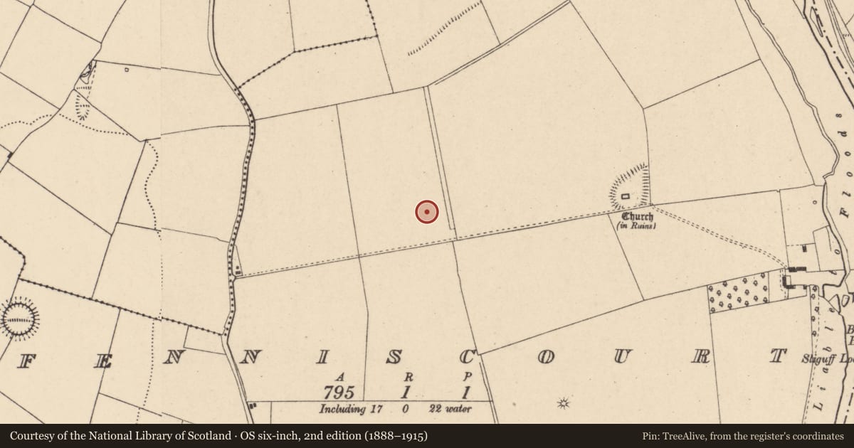 Ordnance Survey six-inch map, 2nd edition (1888–1915) covering the location of Enclosure, Fenniscourt, County Carlow, with a pin at the register's coordinates