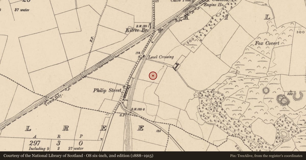 Ordnance Survey six-inch map, 2nd edition (1888–1915) covering the location of Rock art, Kilcarrig, County Carlow, with a pin at the register's coordinates