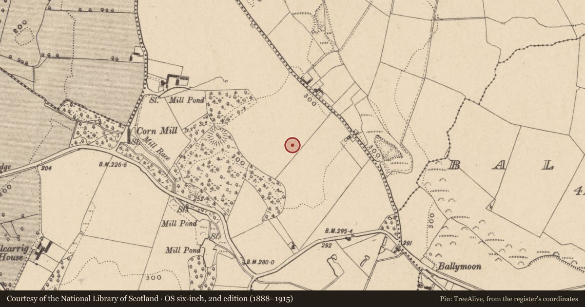 Ordnance Survey six-inch map, 2nd edition (1888–1915) covering the location of Ring-ditch, Kilcarrig, County Carlow, with a pin at the register's coordinates