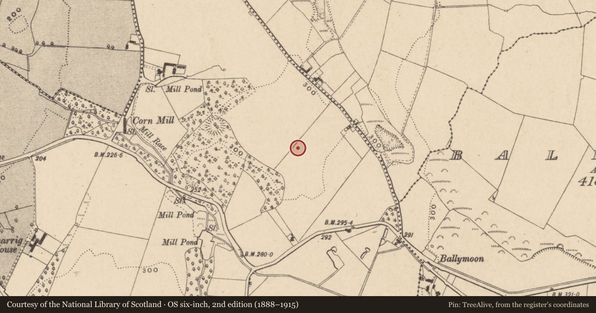 Ordnance Survey six-inch map, 2nd edition (1888–1915) covering the location of Ring-ditch, Kilcarrig, County Carlow, with a pin at the register's coordinates