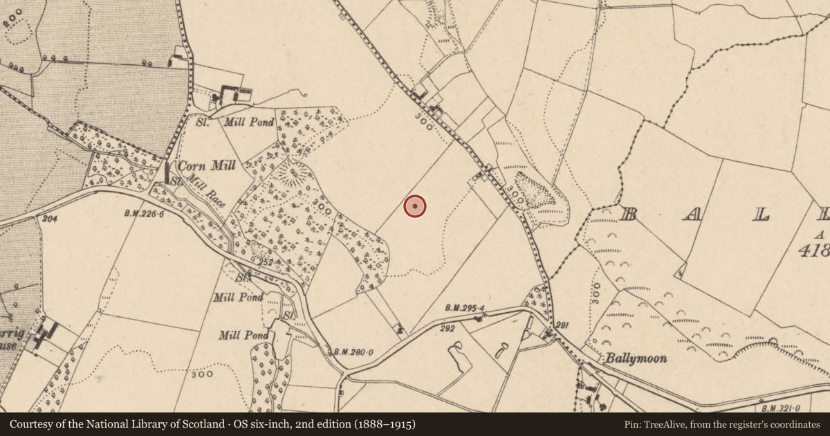 Ordnance Survey six-inch map, 2nd edition (1888–1915) covering the location of Ring-ditch, Kilcarrig, County Carlow, with a pin at the register's coordinates