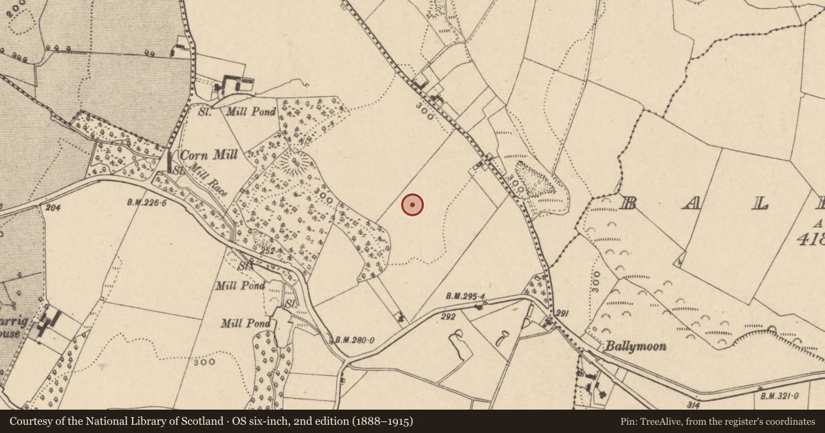 Ordnance Survey six-inch map, 2nd edition (1888–1915) covering the location of Ring-ditch, Kilcarrig, County Carlow, with a pin at the register's coordinates