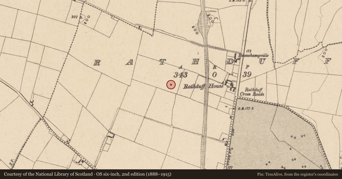 Ordnance Survey six-inch map, 2nd edition (1888–1915) covering the location of Enclosure, Rathduff, County Carlow, with a pin at the register's coordinates