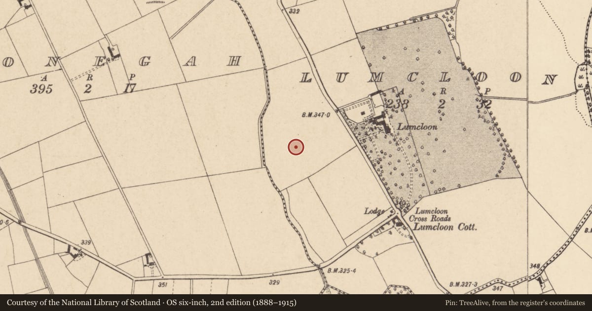 Ordnance Survey six-inch map, 2nd edition (1888–1915) covering the location of Enclosure, Lumcloon, County Carlow, with a pin at the register's coordinates