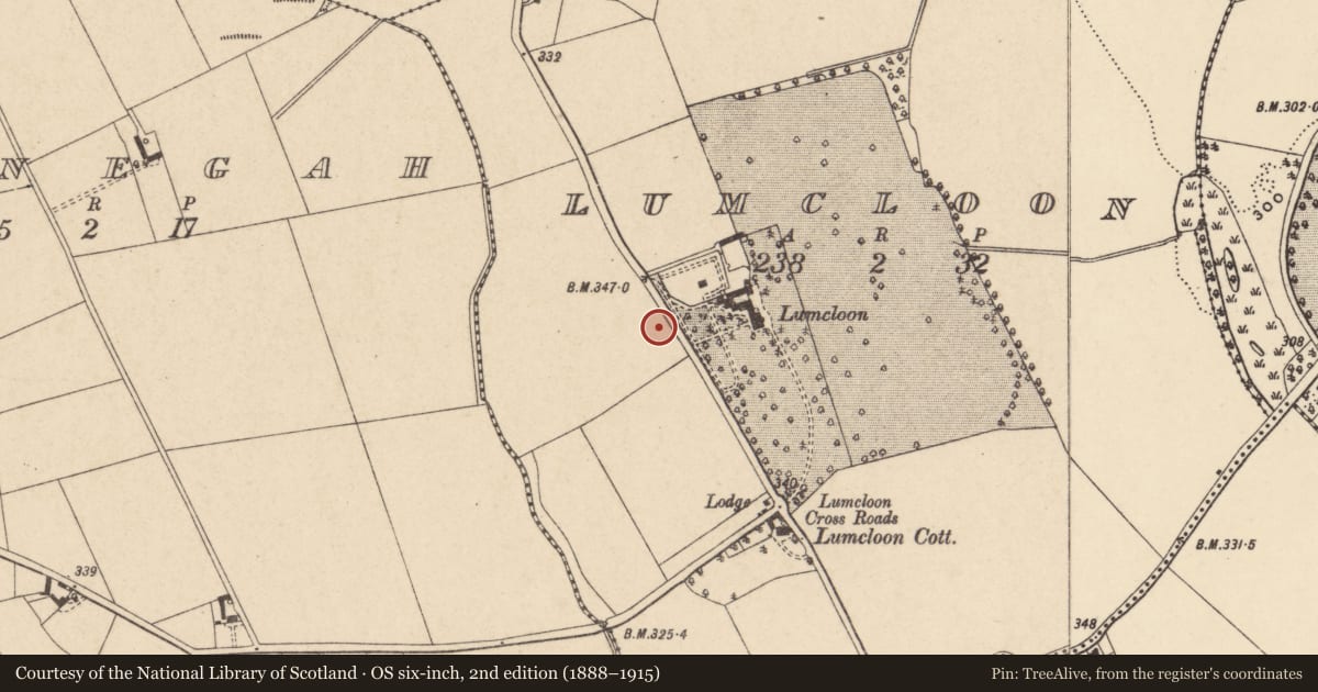 Ordnance Survey six-inch map, 2nd edition (1888–1915) covering the location of Enclosure, Lumcloon, County Carlow, with a pin at the register's coordinates