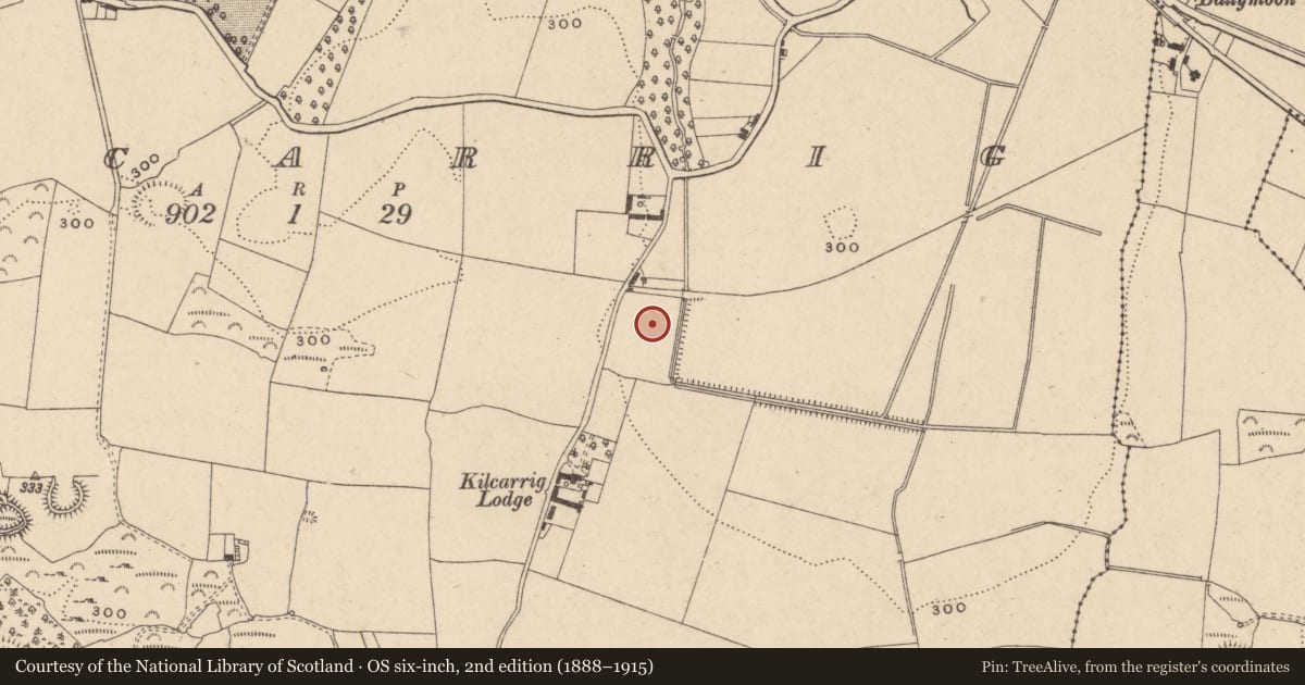 Ordnance Survey six-inch map, 2nd edition (1888–1915) covering the location of Standing stone, County Carlow, with a pin at the register's coordinates