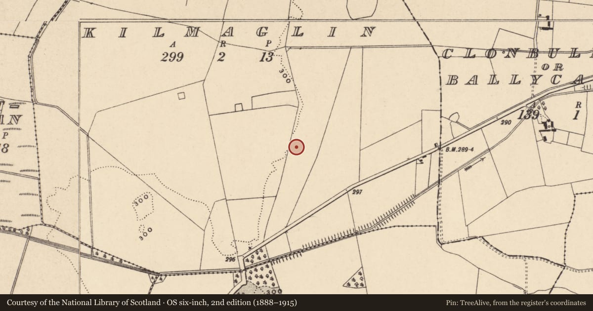 Ordnance Survey six-inch map, 2nd edition (1888–1915) covering the location of Enclosure, Kilmaglin, County Carlow, with a pin at the register's coordinates