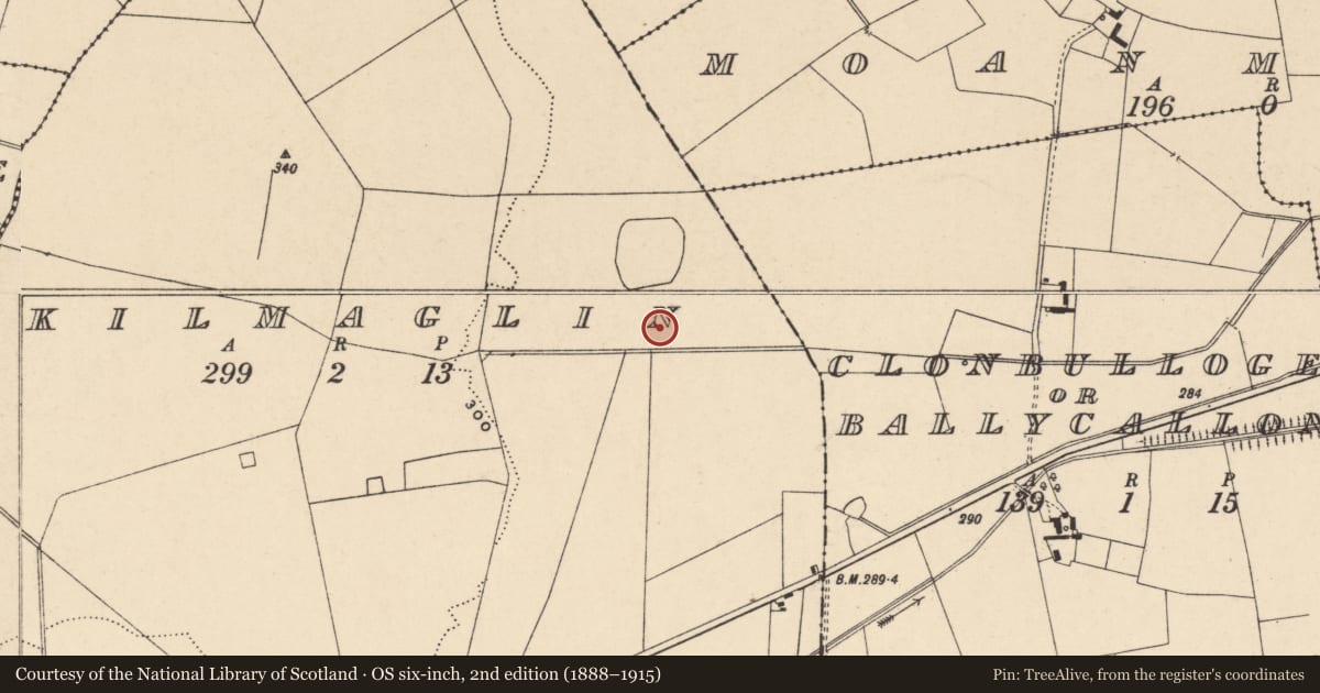 Ordnance Survey six-inch map, 2nd edition (1888–1915) covering the location of Enclosure, Kilmaglin, County Carlow, with a pin at the register's coordinates