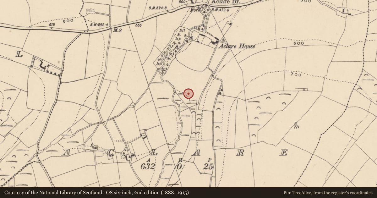 Ordnance Survey six-inch map, 2nd edition (1888–1915) covering the location of Ringfort - rath, Aclare, County Carlow, with a pin at the register's coordinates