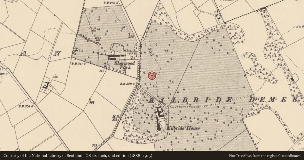 Ordnance Survey six-inch map, 2nd edition (1888–1915) covering the location of Designed landscape - tree-ring, Kilbride, County Carlow, with a pin at the register's coordinates