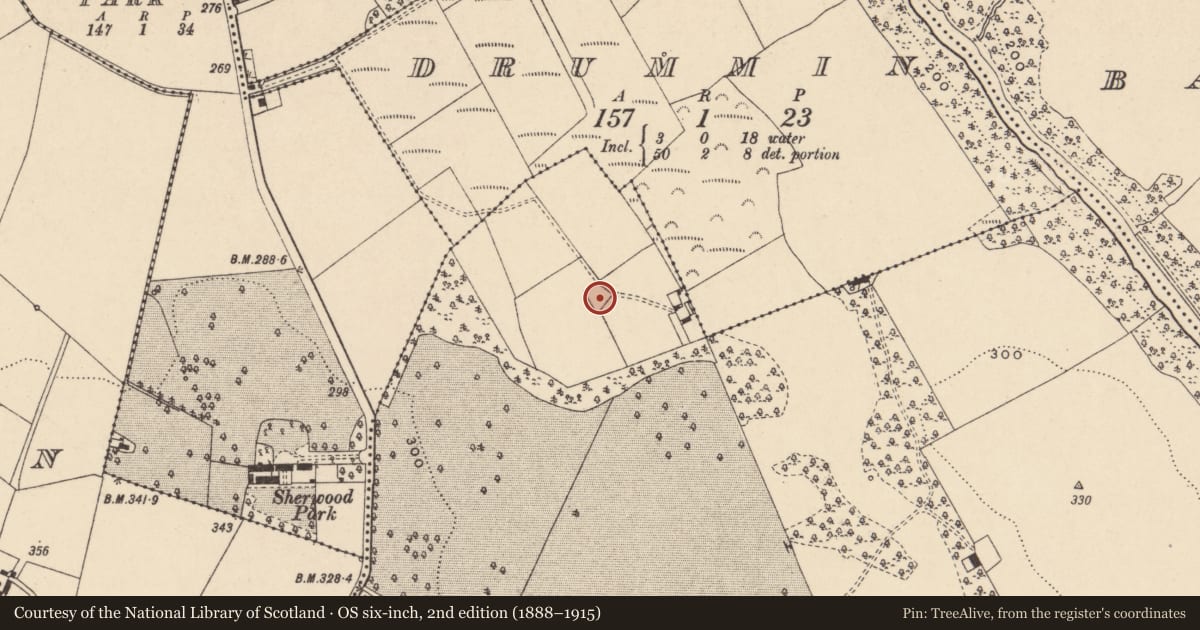 Ordnance Survey six-inch map, 2nd edition (1888–1915) covering the location of Church, Kilbride, County Carlow, with a pin at the register's coordinates