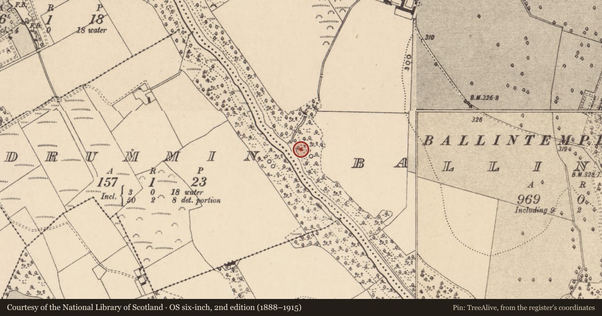 Ordnance Survey six-inch map, 2nd edition (1888–1915) covering the location of Bullaun stone, Ballintemple, County Carlow, with a pin at the register's coordinates