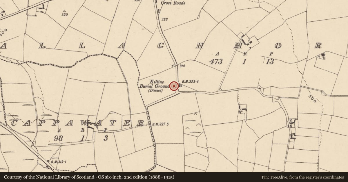 Ordnance Survey six-inch map, 2nd edition (1888–1915) covering the location of Burial ground, Ballaghmore, County Carlow, with a pin at the register's coordinates
