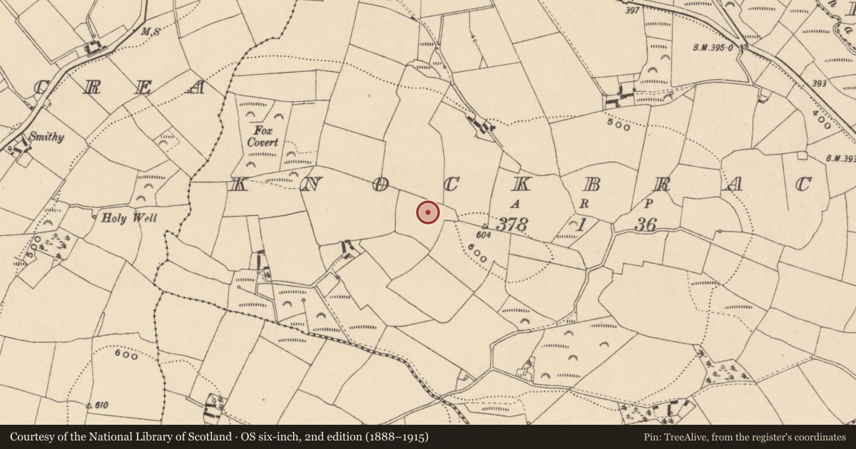 Ordnance Survey six-inch map, 2nd edition (1888–1915) covering the location of Cairn - unclassified, Knockbrack, County Carlow, with a pin at the register's coordinates