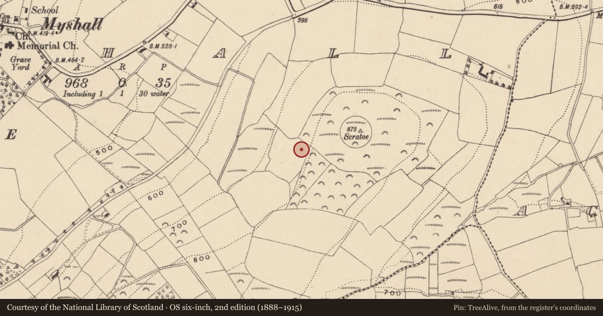 Ordnance Survey six-inch map, 2nd edition (1888–1915) covering the location of Enclosure, Myshall, County Carlow, with a pin at the register's coordinates