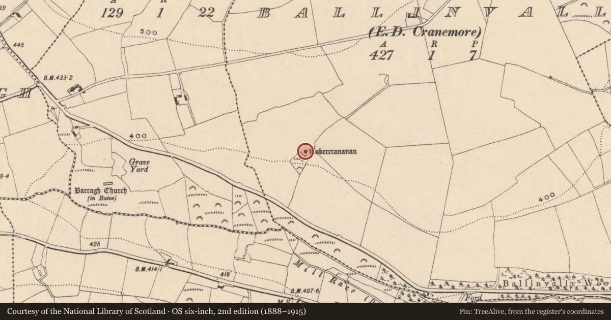 Ordnance Survey six-inch map, 2nd edition (1888–1915) covering the location of Ritual site - holy well, Ballinvally, County Carlow, with a pin at the register's coordinates