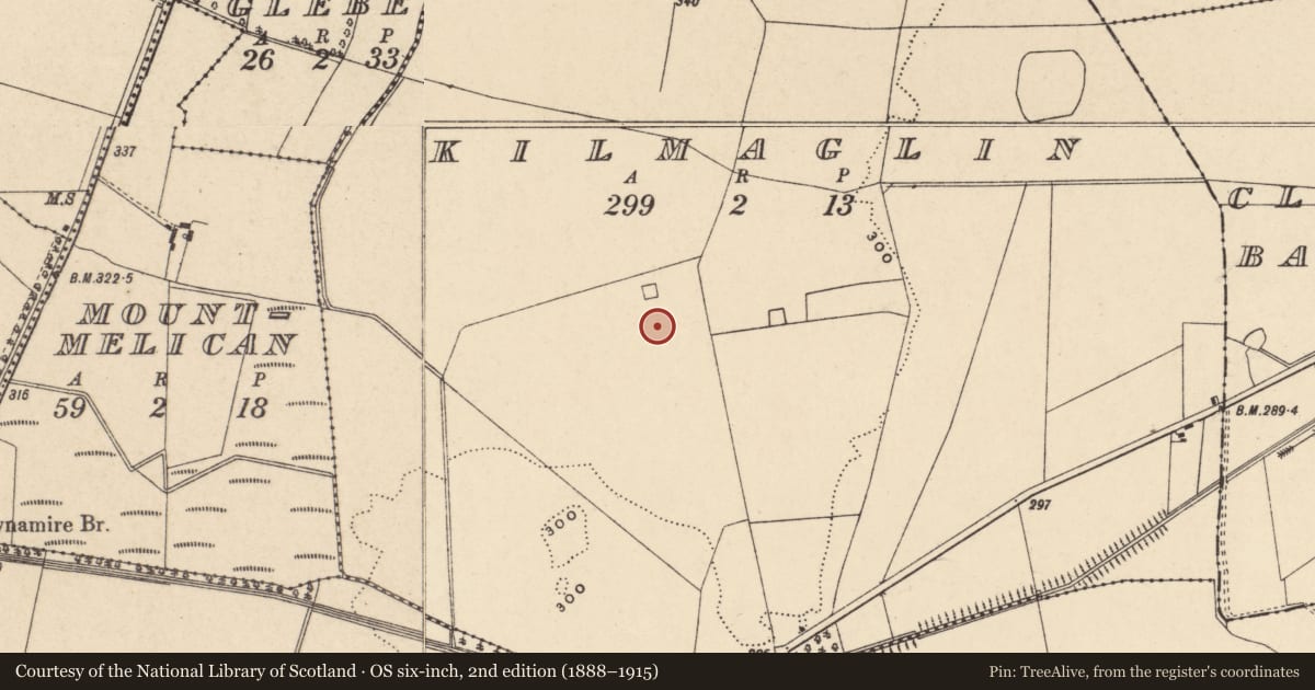 Ordnance Survey six-inch map, 2nd edition (1888–1915) covering the location of Enclosure, Kilmaglin, County Carlow, with a pin at the register's coordinates