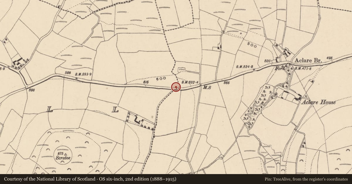 Ordnance Survey six-inch map, 2nd edition (1888–1915) covering the location of Children's burial ground, Myshall, County Carlow, with a pin at the register's coordinates