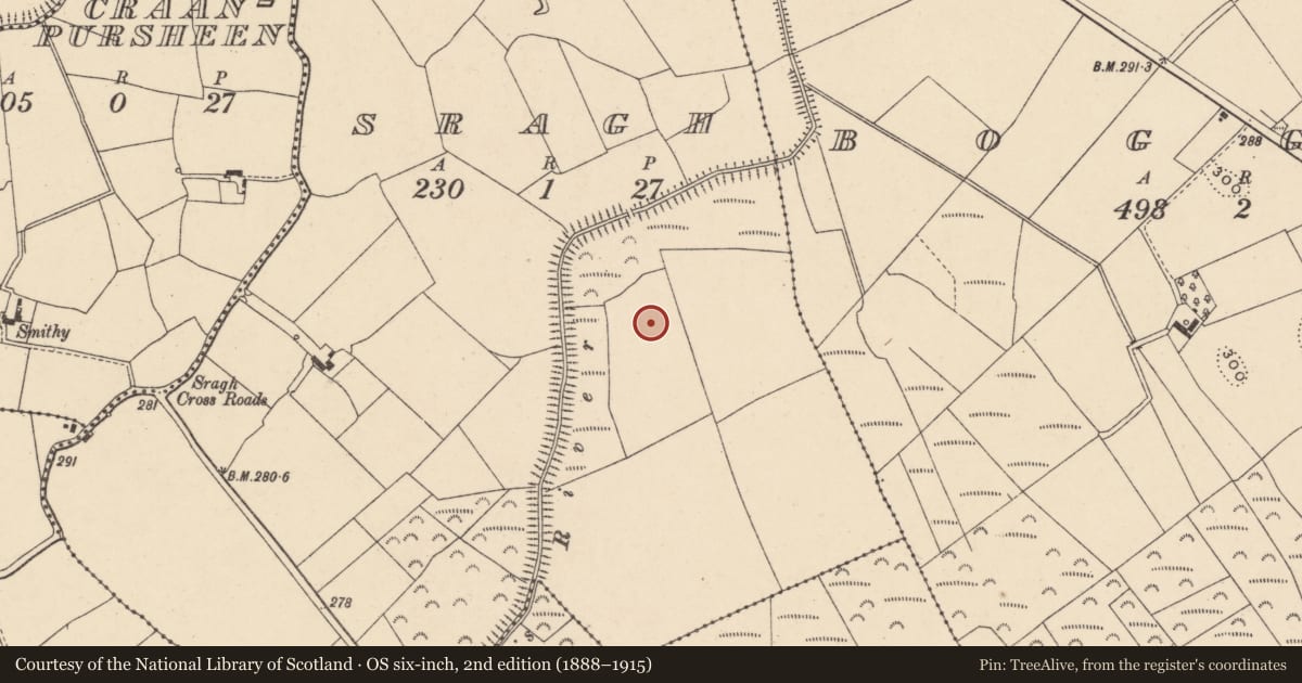 Ordnance Survey six-inch map, 2nd edition (1888–1915) covering the location of Cairn - unclassified, Sragh, County Carlow, with a pin at the register's coordinates