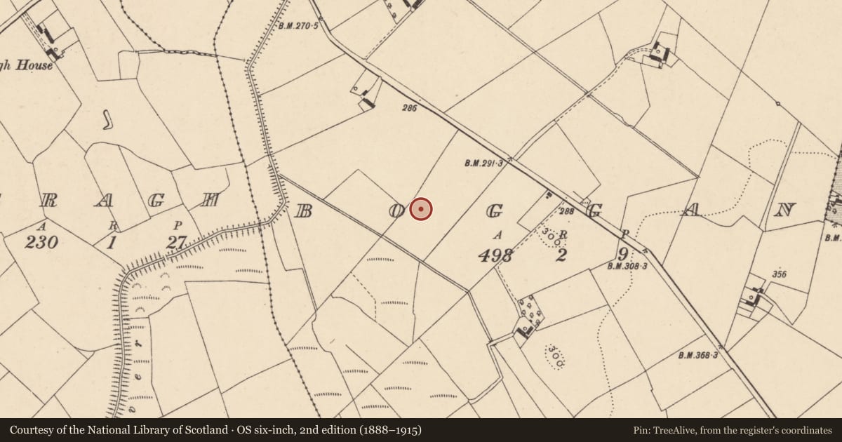 Ordnance Survey six-inch map, 2nd edition (1888–1915) covering the location of Enclosure, Boggan, County Carlow, with a pin at the register's coordinates
