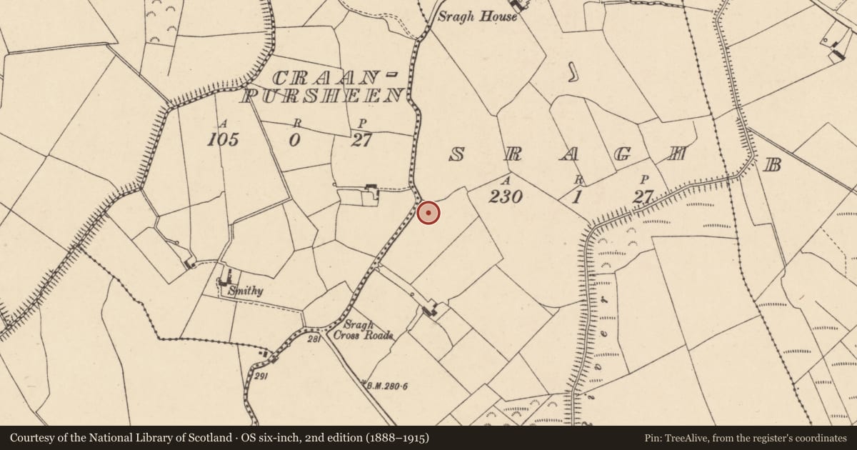 Ordnance Survey six-inch map, 2nd edition (1888–1915) covering the location of Enclosure, Sragh, County Carlow, with a pin at the register's coordinates