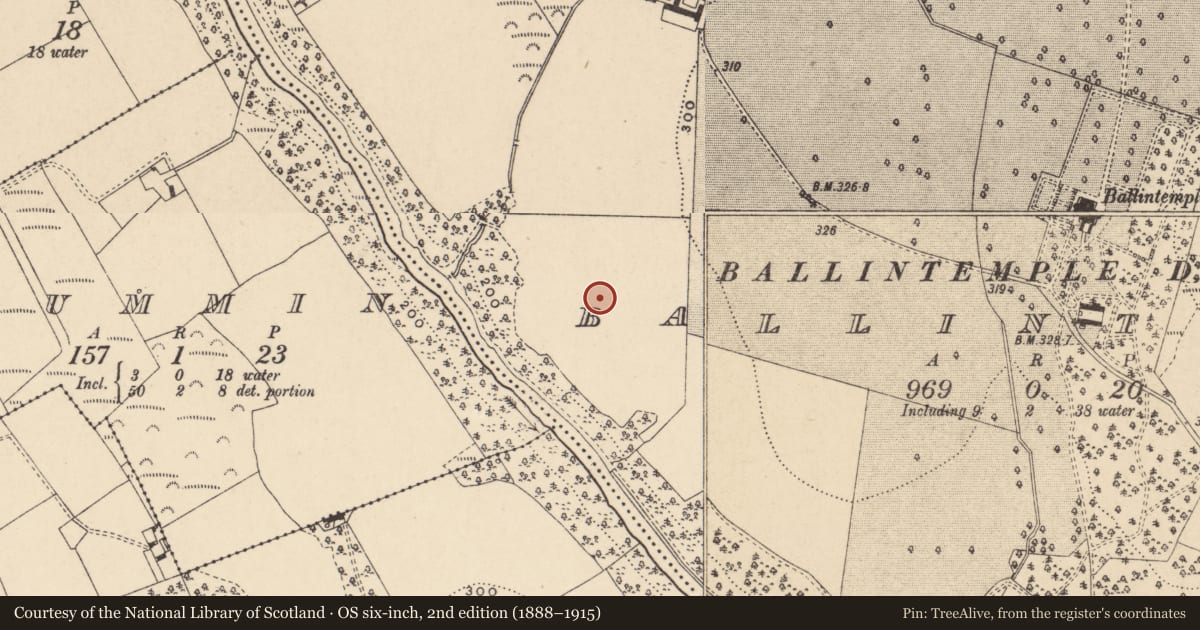 Ordnance Survey six-inch map, 2nd edition (1888–1915) covering the location of Enclosure, Ballintemple, County Carlow, with a pin at the register's coordinates
