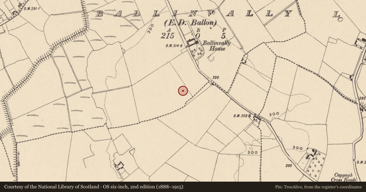Ordnance Survey six-inch map, 2nd edition (1888–1915) covering the location of Enclosure, Ballinvally, County Carlow, with a pin at the register's coordinates