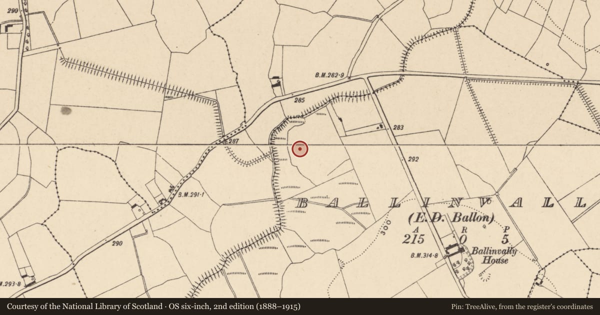 Ordnance Survey six-inch map, 2nd edition (1888–1915) covering the location of Enclosure, Ballinvally, County Carlow, with a pin at the register's coordinates
